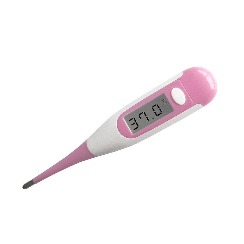 Jumbo LCD Digital Thermometer